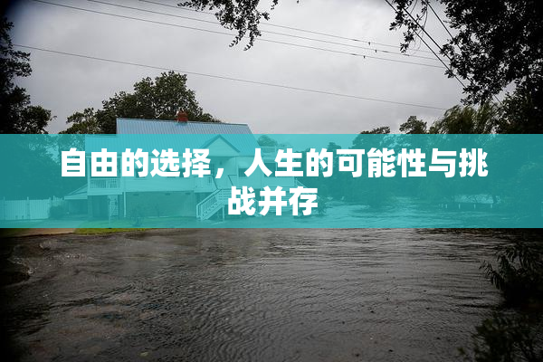 自由的选择，人生的可能性与挑战并存