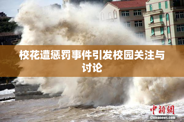 校花遭惩罚事件引发校园关注与讨论