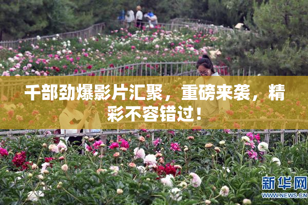 千部劲爆影片汇聚，重磅来袭，精彩不容错过！