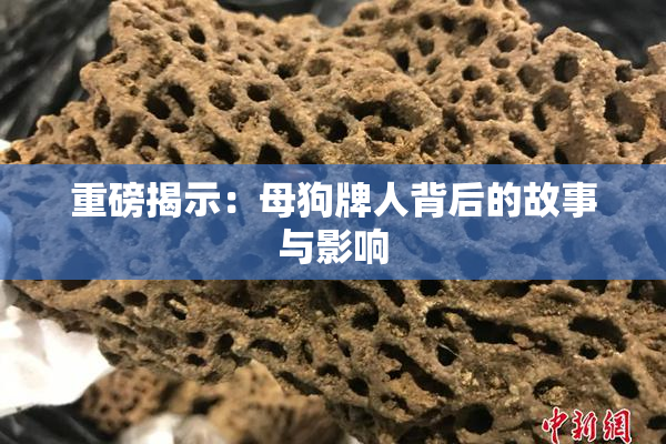 重磅揭示：母狗牌人背后的故事与影响