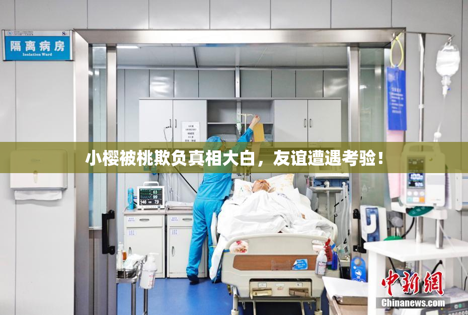 小樱被桃欺负真相大白，友谊遭遇考验！