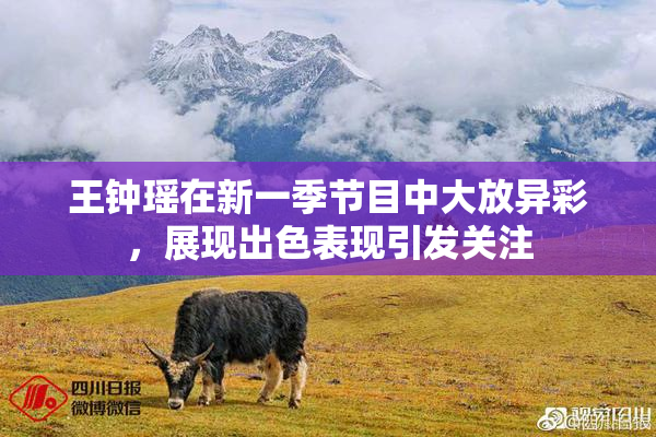 王钟瑶在新一季节目中大放异彩，展现出色表现引发关注