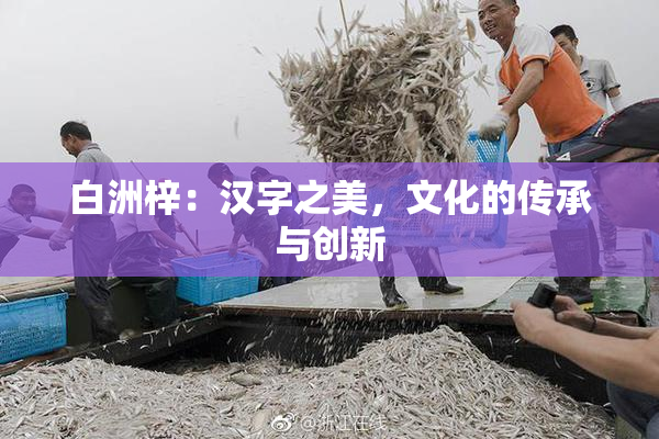 白洲梓：汉字之美，文化的传承与创新