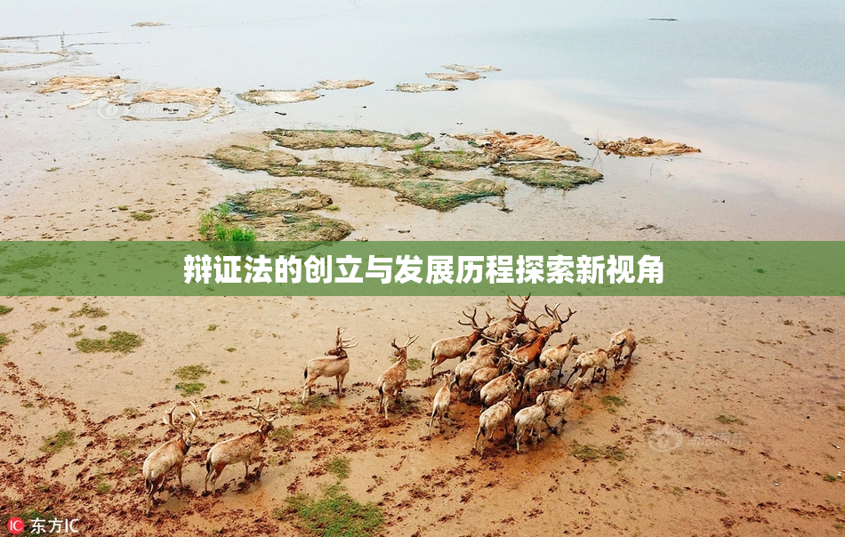 辩证法的创立与发展历程探索新视角