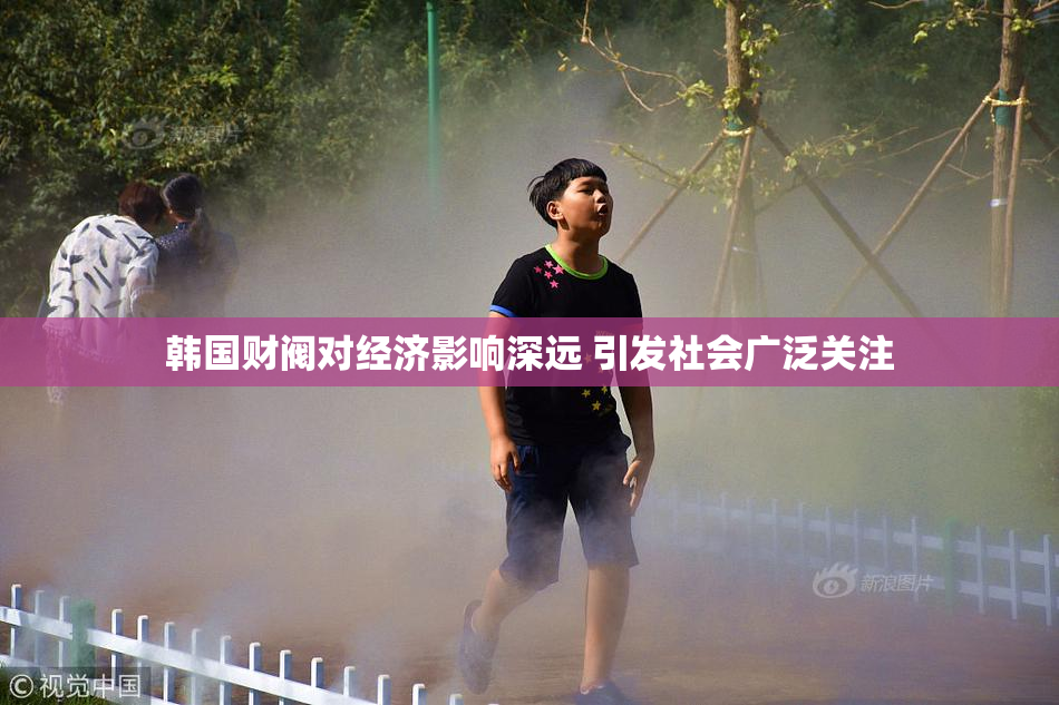 韩国财阀对经济影响深远 引发社会广泛关注