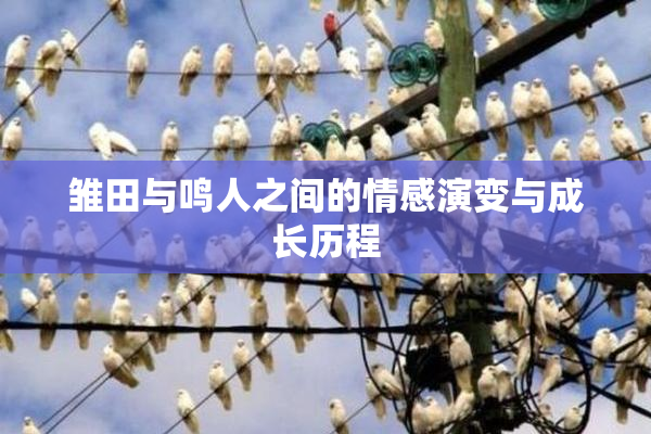 雏田与鸣人之间的情感演变与成长历程