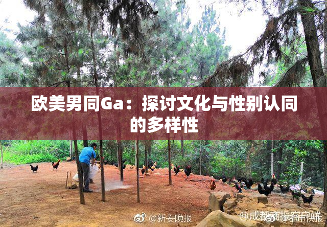 欧美男同Ga：探讨文化与性别认同的多样性