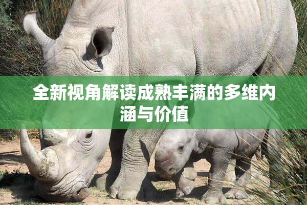 全新视角解读成熟丰满的多维内涵与价值