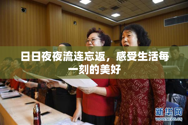 日日夜夜流连忘返，感受生活每一刻的美好