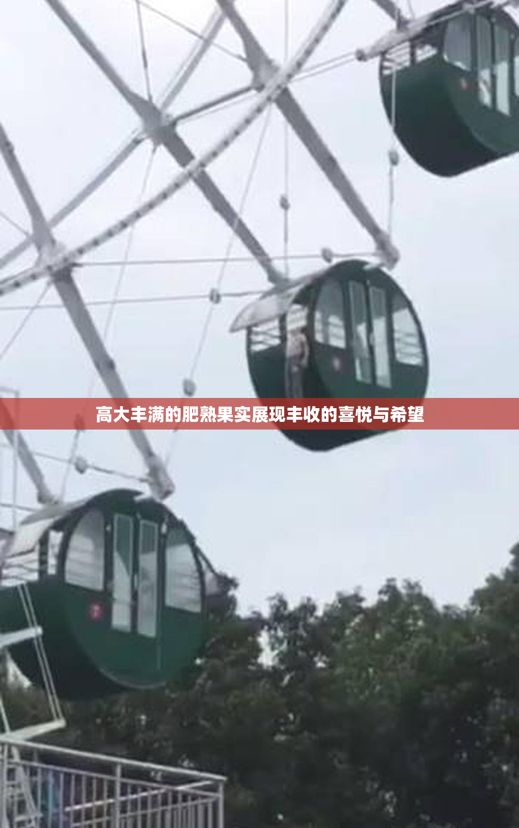 高大丰满的肥熟果实展现丰收的喜悦与希望