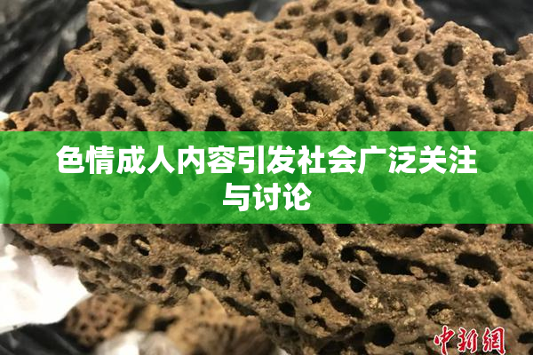 色情成人内容引发社会广泛关注与讨论