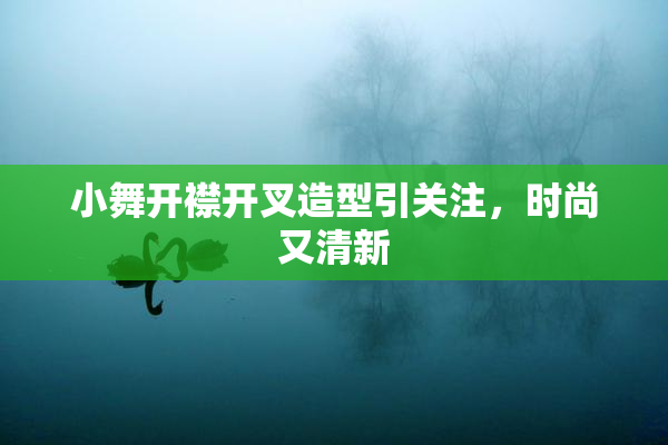 小舞开襟开叉造型引关注，时尚又清新