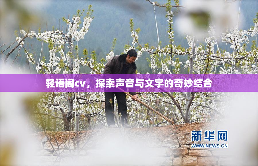 轻语阁cv，探索声音与文字的奇妙结合