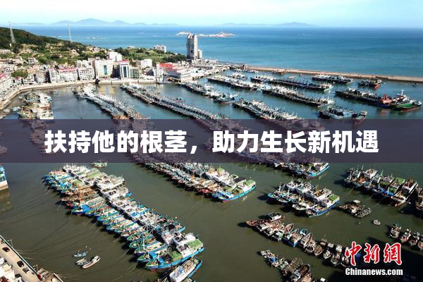 扶持他的根茎，助力生长新机遇