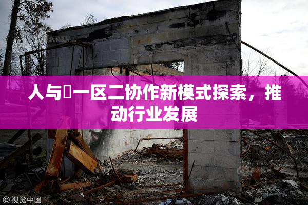 人与嘼一区二协作新模式探索，推动行业发展