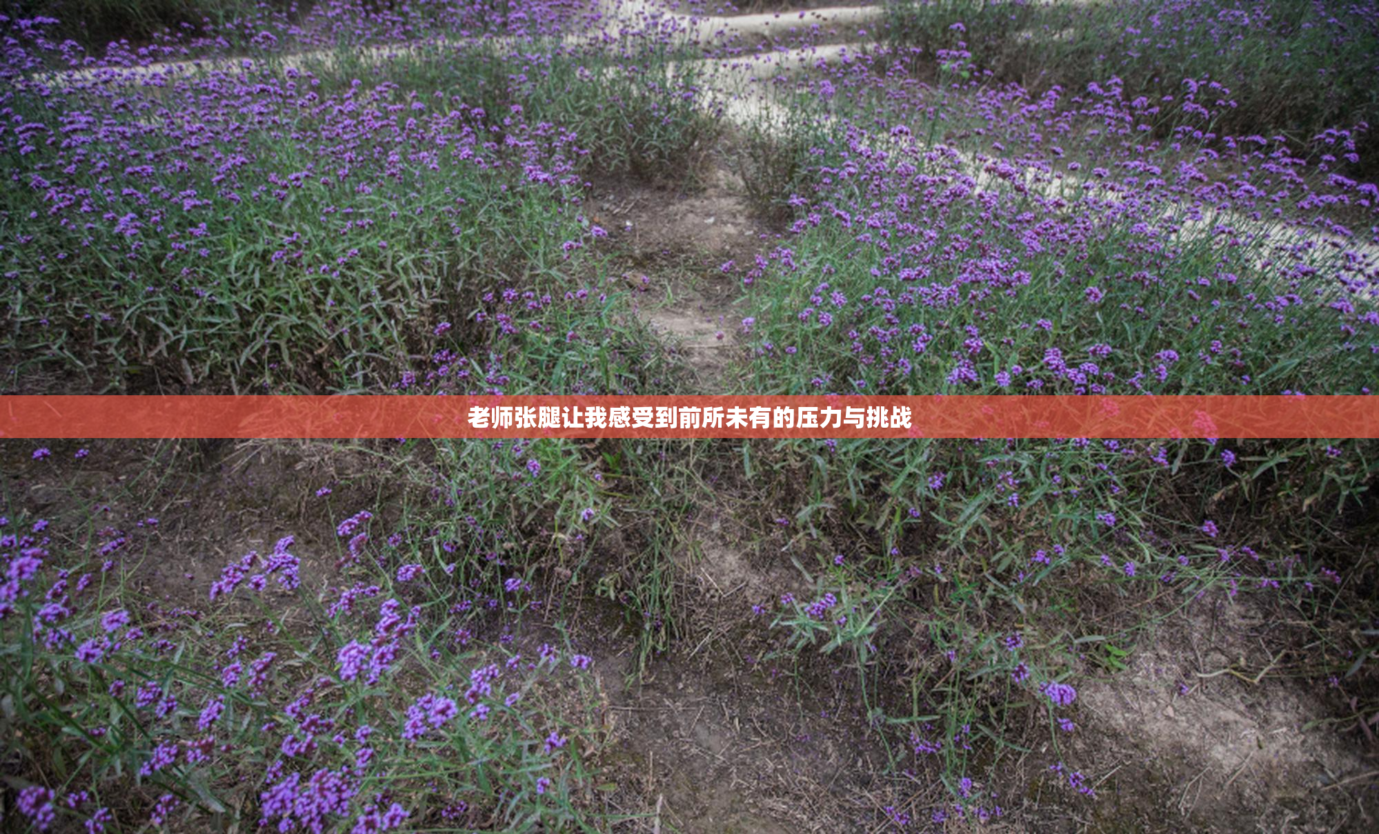 老师张腿让我感受到前所未有的压力与挑战
