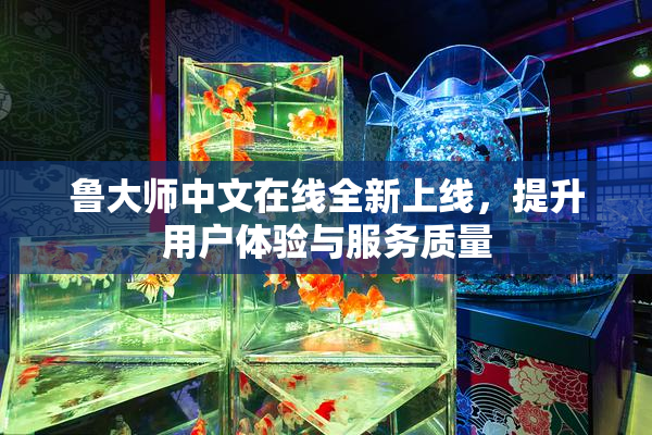 鲁大师中文在线全新上线，提升用户体验与服务质量