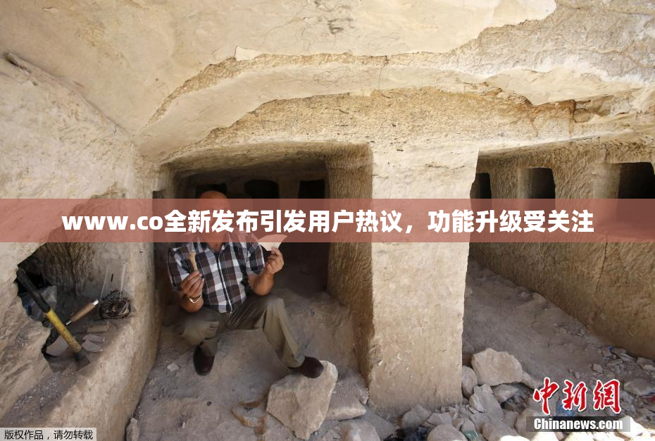 www.co全新发布引发用户热议，功能升级受关注