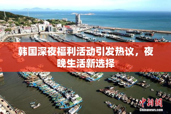 韩国深夜福利活动引发热议，夜晚生活新选择