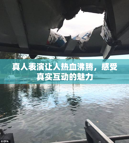 真人表演让人热血沸腾，感受真实互动的魅力