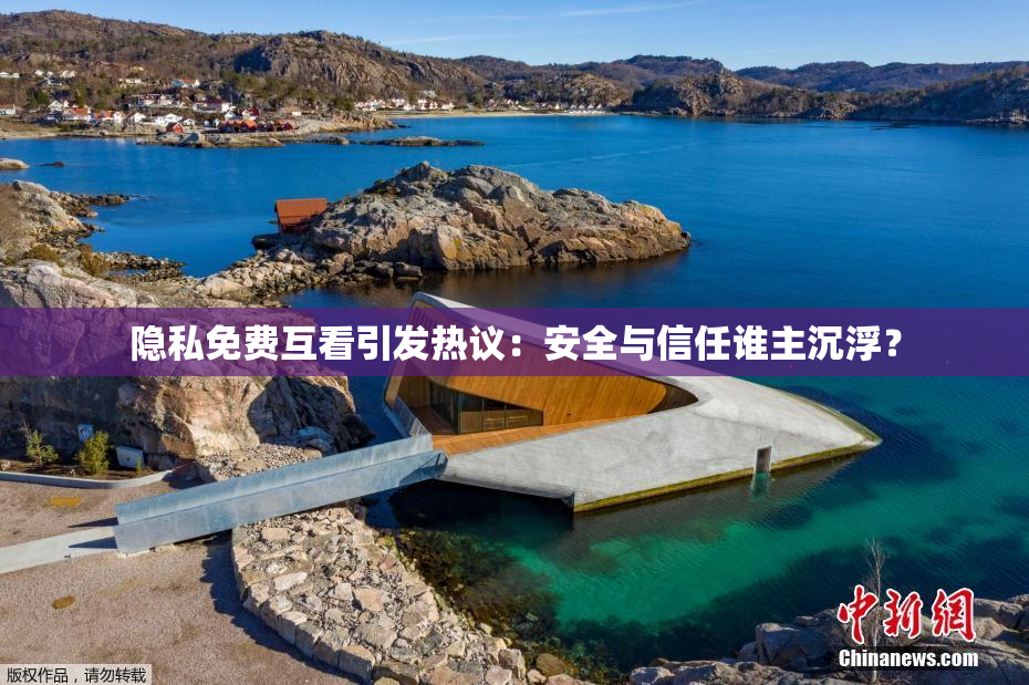隐私免费互看引发热议：安全与信任谁主沉浮？