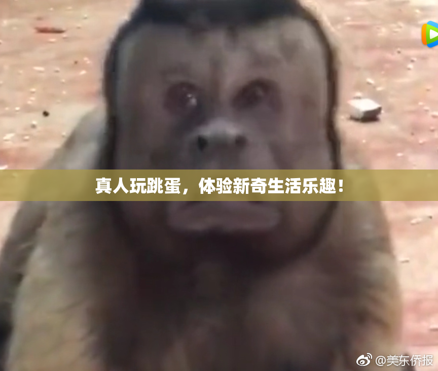 真人玩跳蛋，体验新奇生活乐趣！
