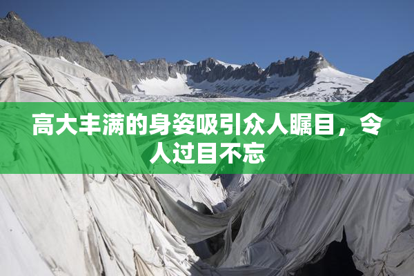 高大丰满的身姿吸引众人瞩目，令人过目不忘