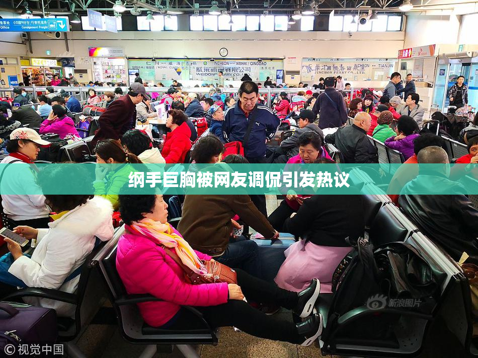 纲手巨胸被网友调侃引发热议