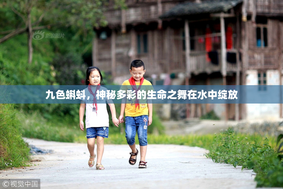 九色蝌蚪，神秘多彩的生命之舞在水中绽放