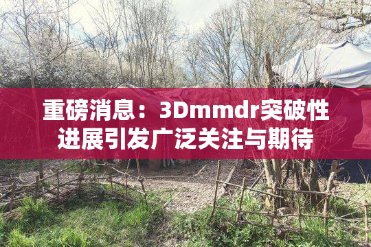重磅消息：3Dmmdr突破性进展引发广泛关注与期待