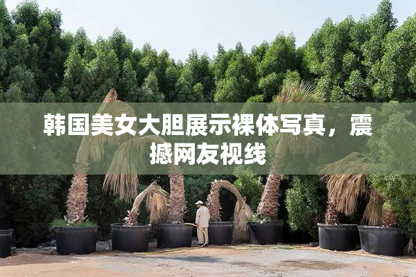 韩国美女大胆展示裸体写真，震撼网友视线