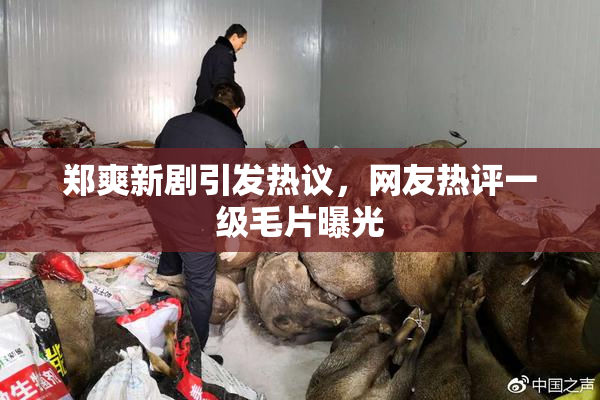 郑爽新剧引发热议，网友热评一级毛片曝光
