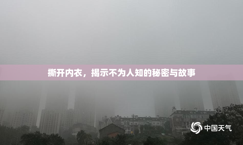 撕开内衣，揭示不为人知的秘密与故事