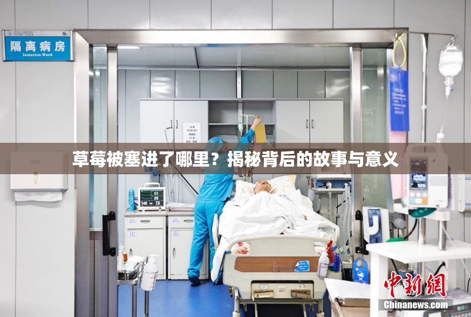 草莓被塞进了哪里？揭秘背后的故事与意义