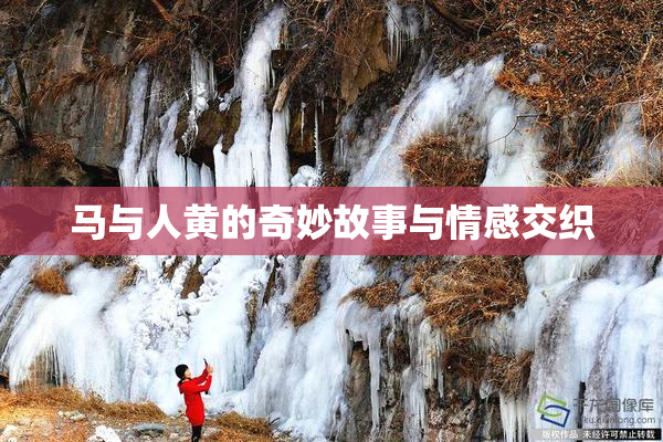 马与人黄的奇妙故事与情感交织