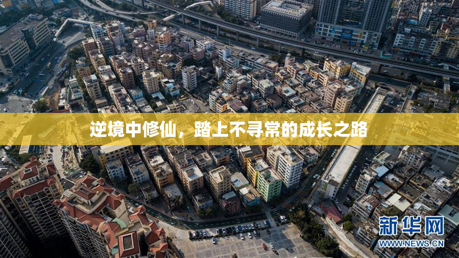 逆境中修仙，踏上不寻常的成长之路
