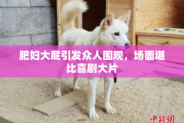 肥妇大屁引发众人围观，场面堪比喜剧大片