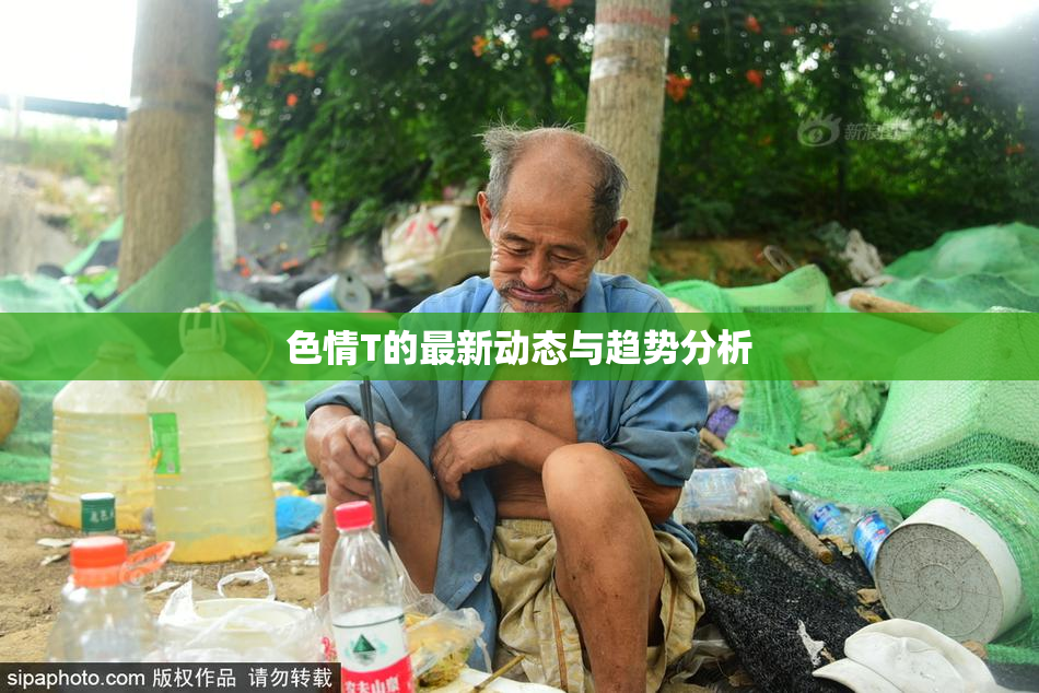 色情T的最新动态与趋势分析