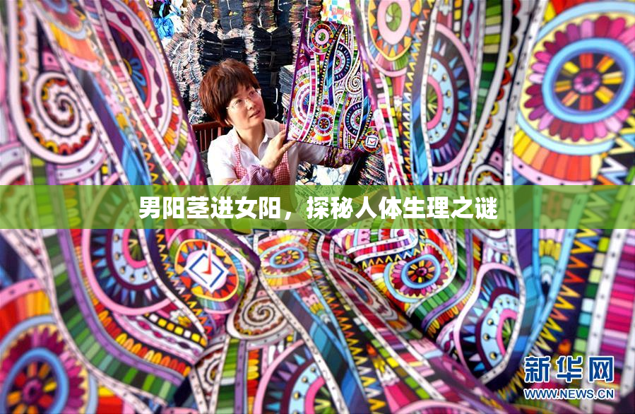 男阳茎进女阳，探秘人体生理之谜
