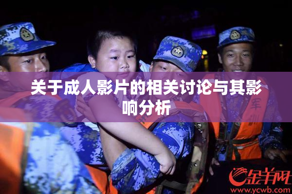 关于成人影片的相关讨论与其影响分析
