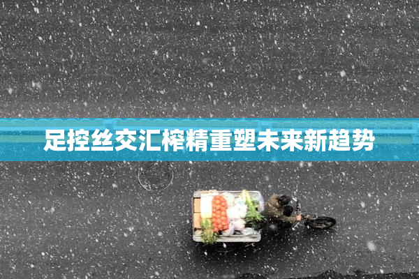 足控丝交汇榨精重塑未来新趋势