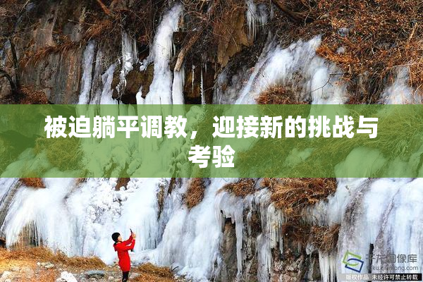 被迫躺平调教，迎接新的挑战与考验