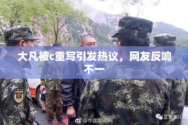 大凡被c重写引发热议，网友反响不一