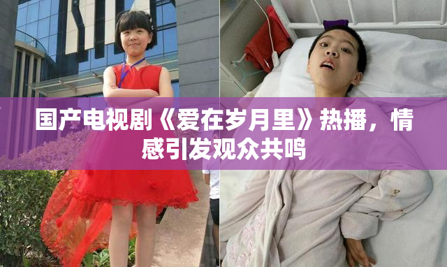 国产电视剧《爱在岁月里》热播，情感引发观众共鸣