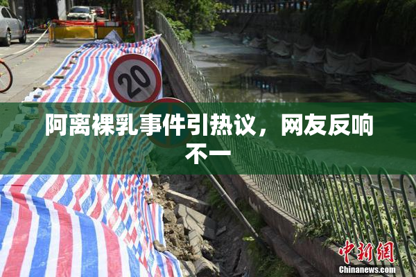 阿离裸乳事件引热议，网友反响不一