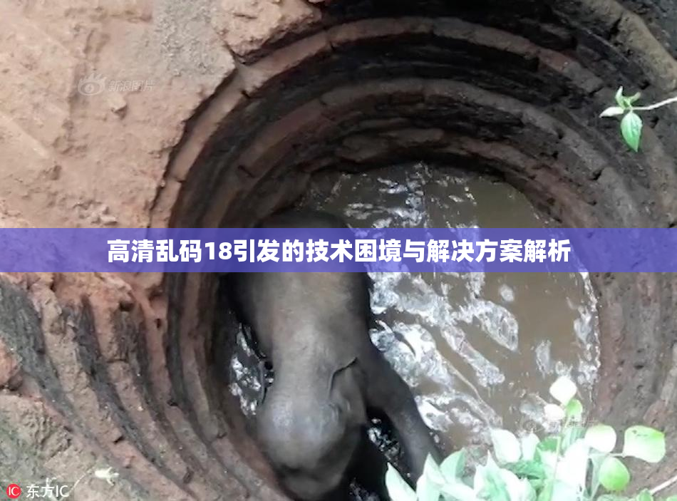 高清乱码18引发的技术困境与解决方案解析