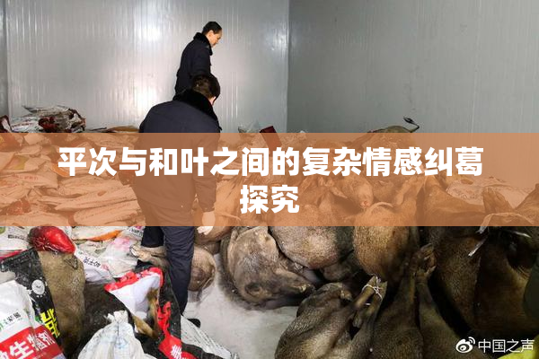 平次与和叶之间的复杂情感纠葛探究