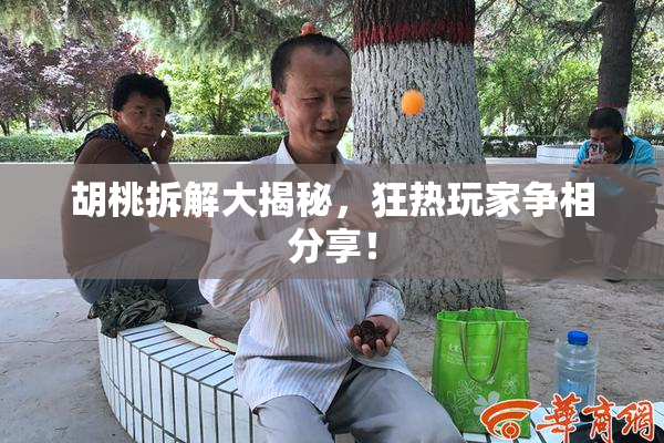 胡桃拆解大揭秘，狂热玩家争相分享！