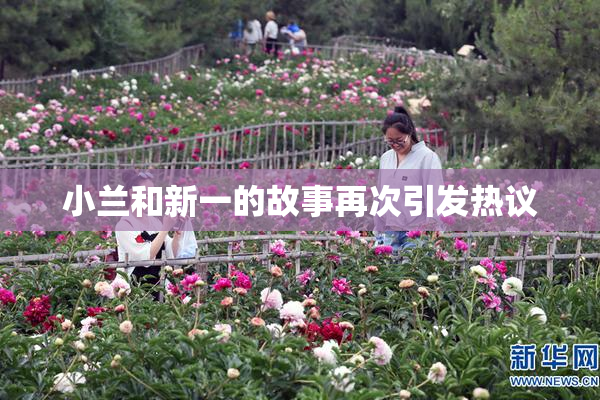 小兰和新一的故事再次引发热议