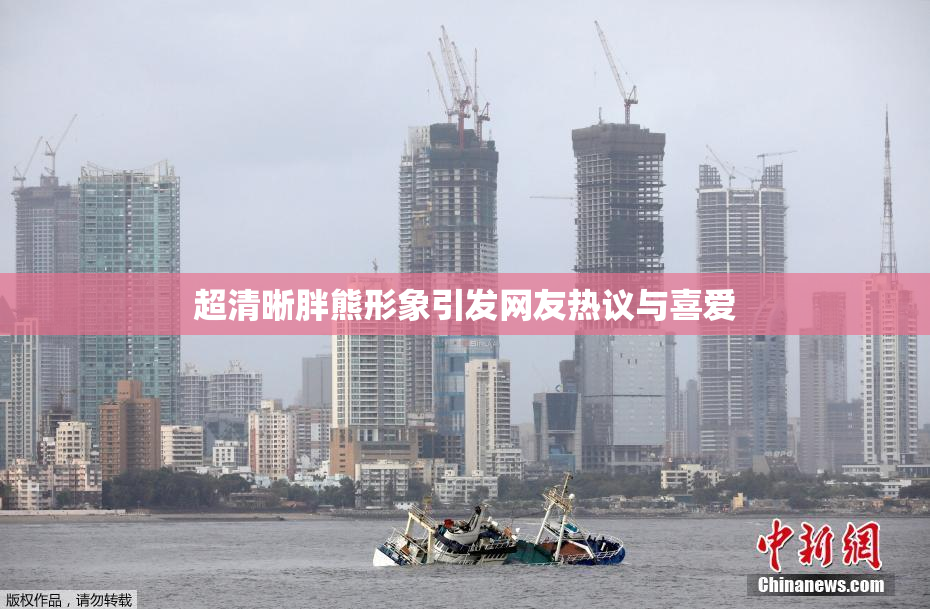 超清晰胖熊形象引发网友热议与喜爱